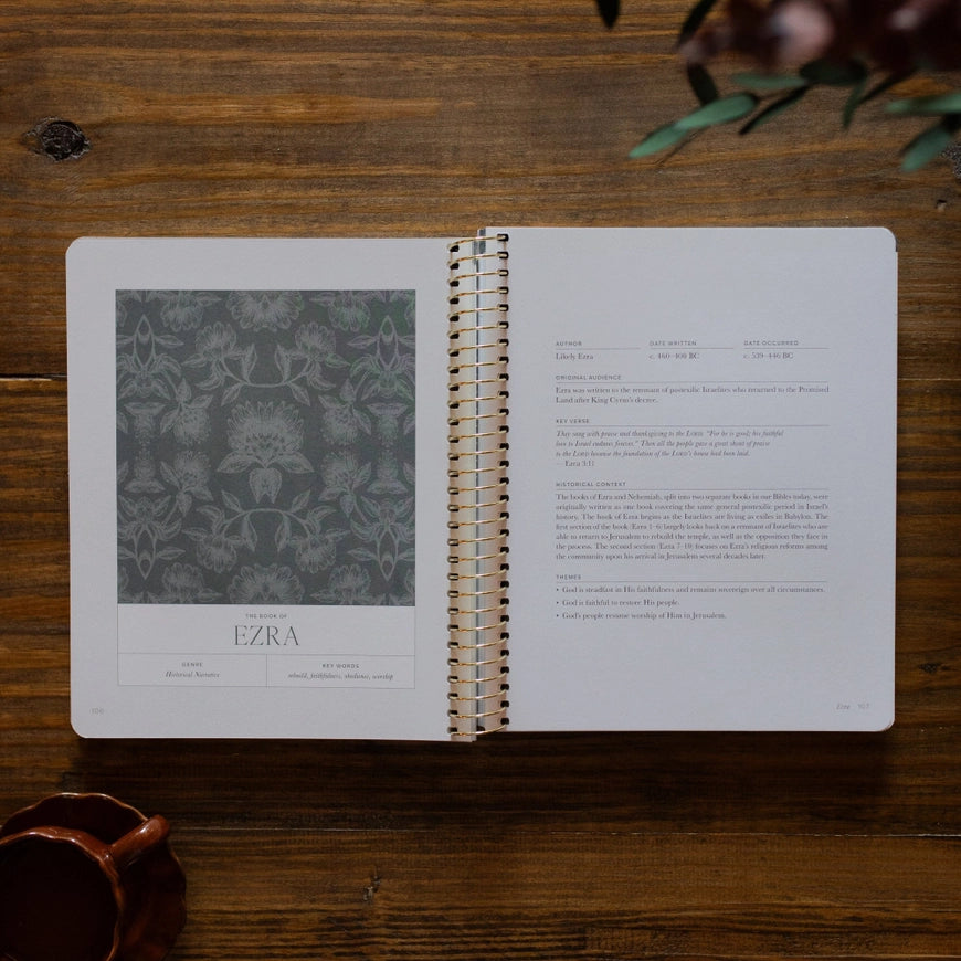 A Year in the Bible | 365 Days of Discovering the Beauty of Jesus from Genesis To Revelation | Volume 2