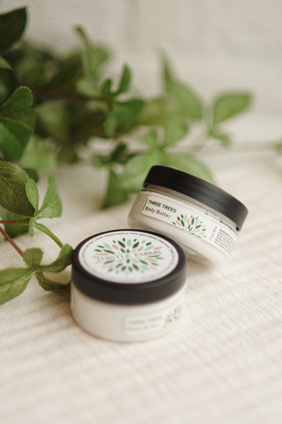 Three Trees Body Butter