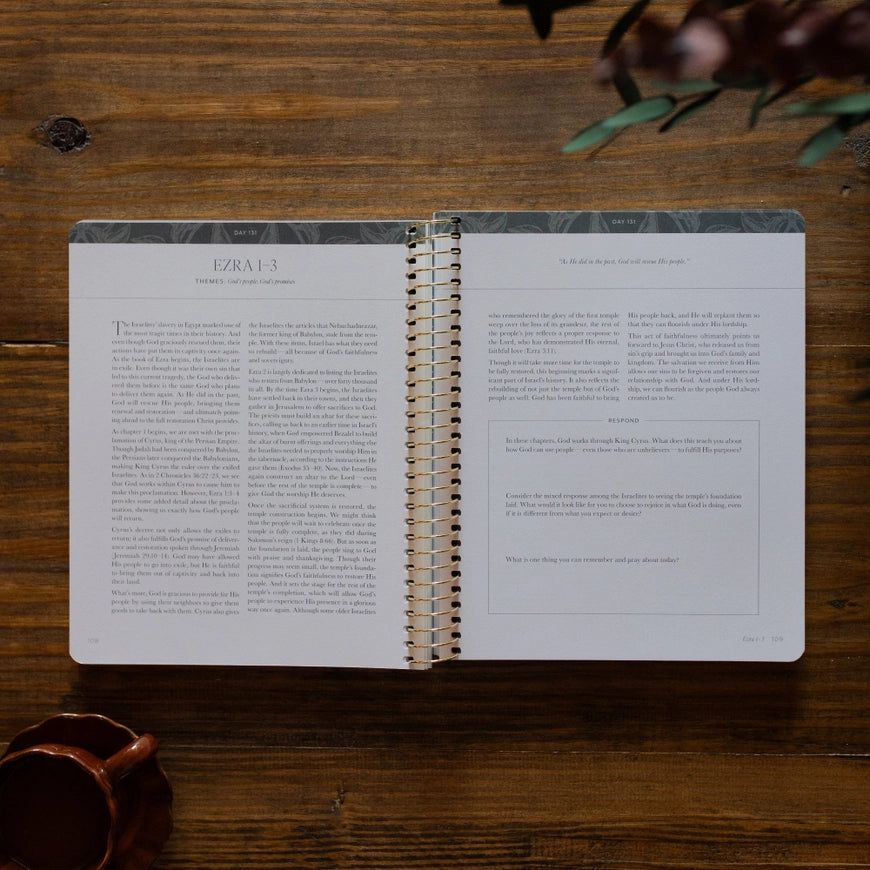 A Year in the Bible | 365 Days of Discovering the Beauty of Jesus from Genesis To Revelation | Volume 2