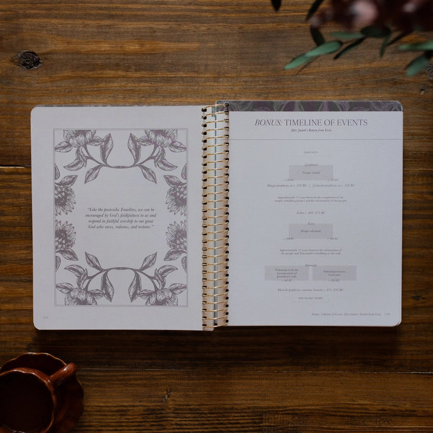 A Year in the Bible | 365 Days of Discovering the Beauty of Jesus from Genesis To Revelation | Volume 2